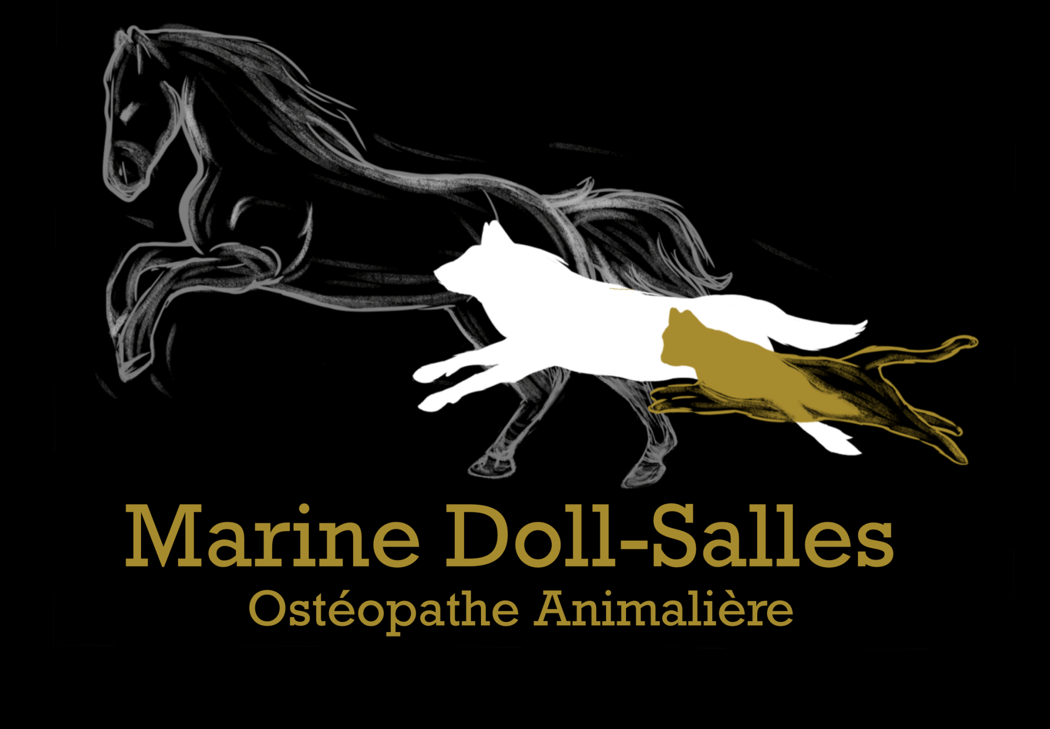 Marine Doll-Salles
